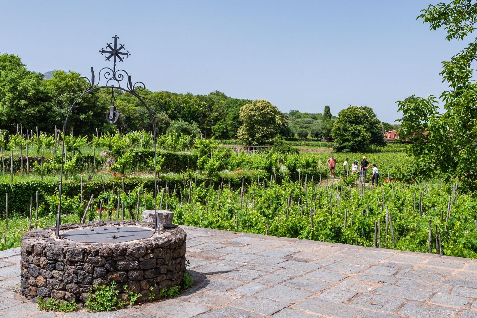 רנדצו Terrazze Dell'Etna - Country Rooms And Apartments מראה חיצוני תמונה